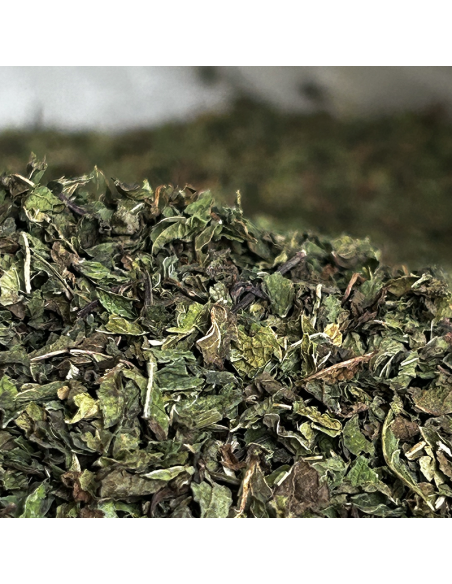 MENTHE NANAH MAROCAINE CERTIFIÉ BIO