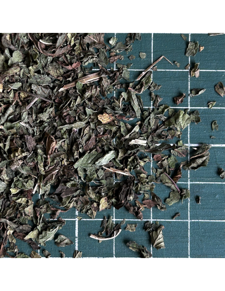 MORROCAN NANAH MINT ORGANIC CERTIFIED