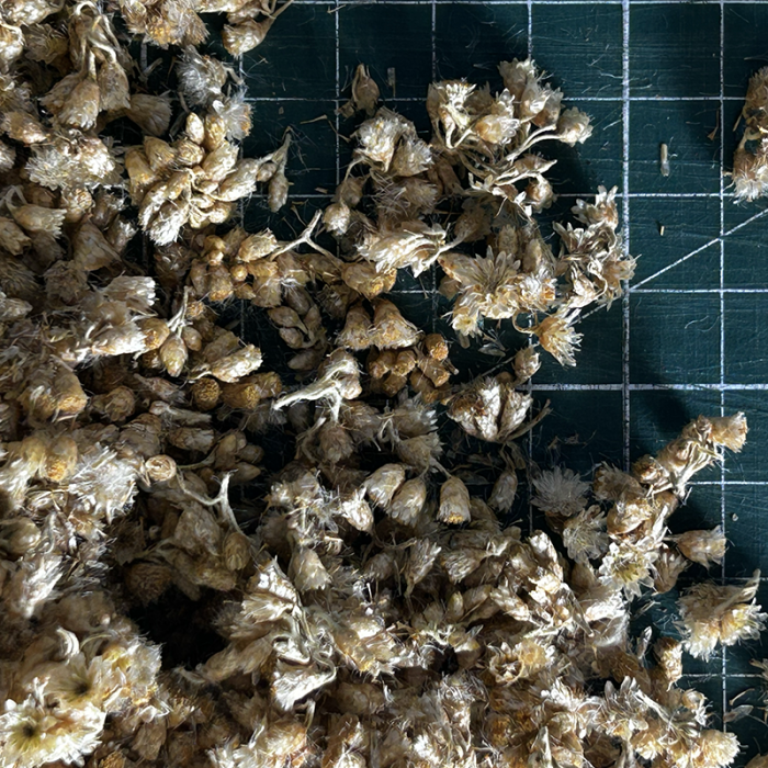 ITALIAN HELICRYSUM ORGANIC CERTIFIED