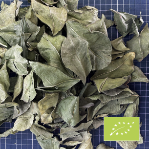 BITTER ORANGE LEAVES "TOP-CHOICE" ORGANIC CERTIFIED 2
