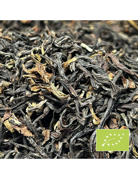 OKAYTI SECOND FLUSH SFTGFOP1 CERTIFIÉ BIO