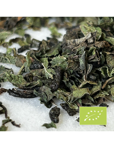 VOYAGE TO MARRAKECH ORGANIC CERTIFIED