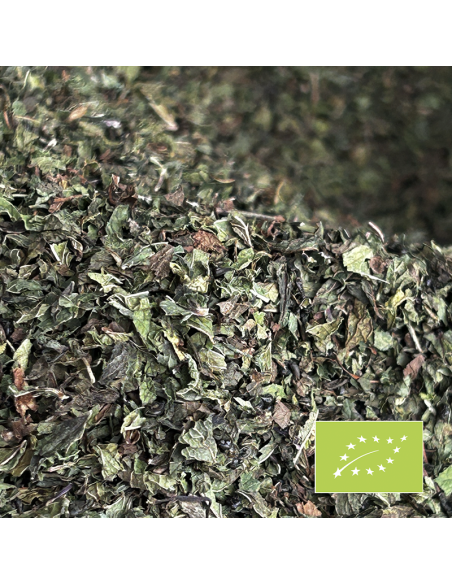 VOYAGE TO MARRAKECH ORGANIC CERTIFIED