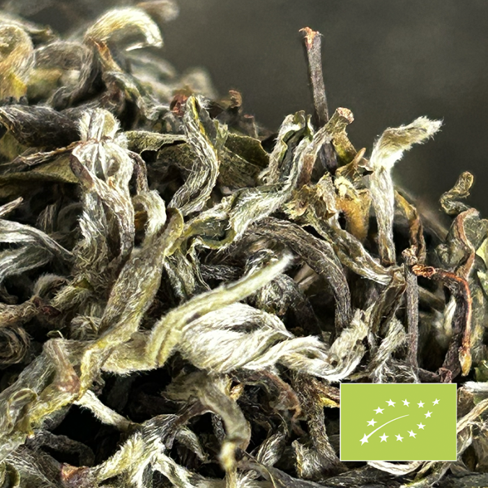 ILAM WONDER WHITE TEA ORGANIC CERTIFIED