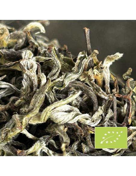 MIST VALLEY WHITE TEA ORGANIC CERTIFIED