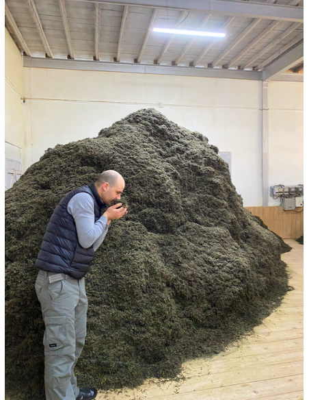 MIST VALLEY WHITE TEA ORGANIC CERTIFIED