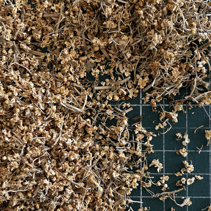 ELDERFLOWERS ORGANIC CERTIFIED ELDERFLOWERS ORGANIC CERTIFIED