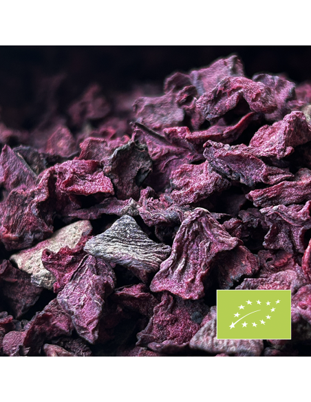 BETTERAVE COUPE 5MM CERTIFIÉ BIO