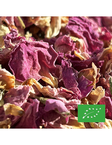 PÉTALES DE ROSE DAMASCENA CERTIFIÉ BIO