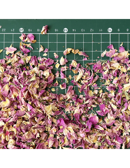 PÉTALES DE ROSE DAMASCENA CERTIFIÉ BIO