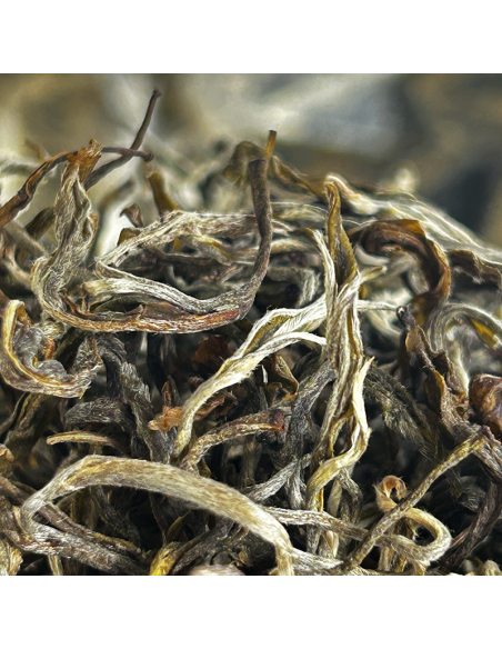 YUNNAN YELLOW TEA MAOFENG