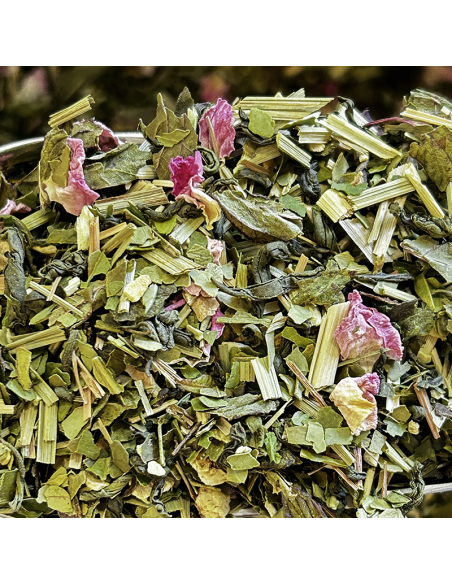 LE PETIT CITRONNIER CERTIFIÉ BIO