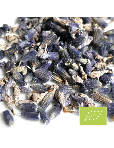 LAVENDER ORGANIC CERTIFIED