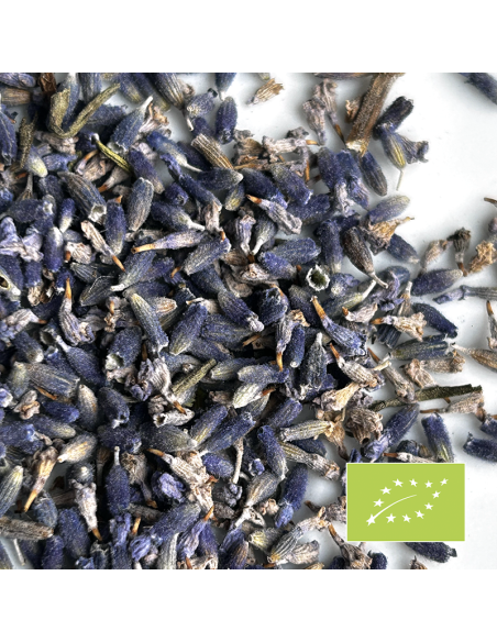 LAVENDER ORGANIC CERTIFIED