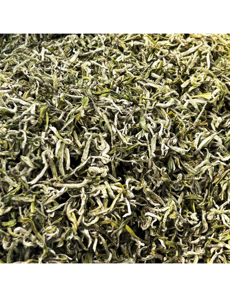 BILUOCHUN PREMIUM APRIL '25