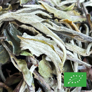PAI MU TAN PREMIUM CERTIFIÉ BIO