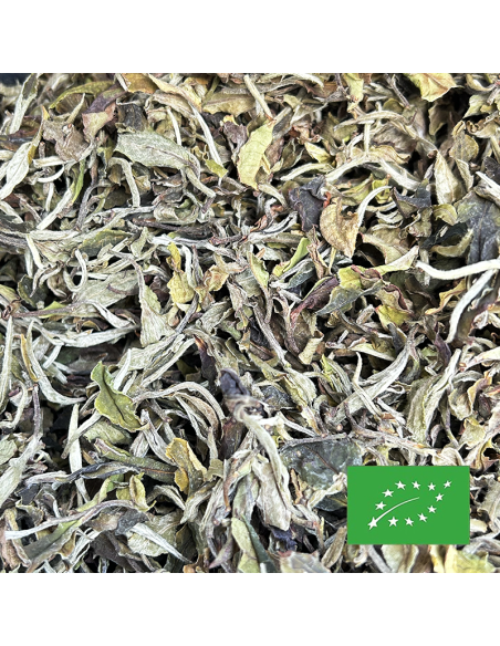 PAI MU TAN PREMIUM ORGANIC CERTIFIED