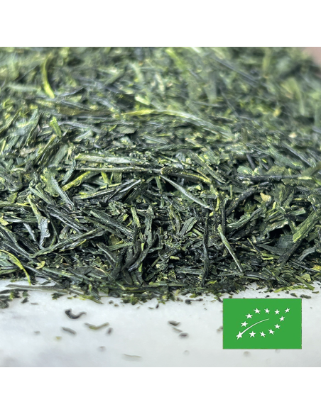 KABUSECHA ASANOKA CERTIFIÉ BIO 2025