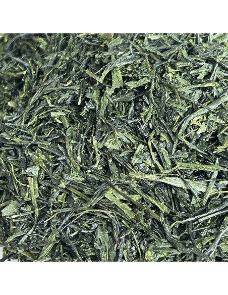 KABUSECHA ASANOKA ORGANIC CERTIFIED 2025