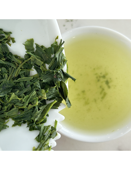 KABUSECHA ASANOKA ORGANIC CERTIFIED 2025