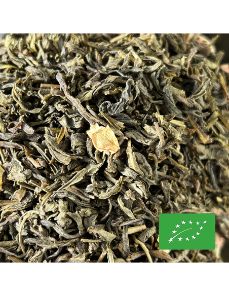 JASMINE GREEN TEA CERTIFIÉ BIO