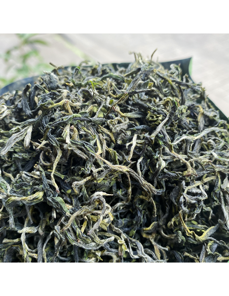 SAN XIA BI LUO CHUN 2025