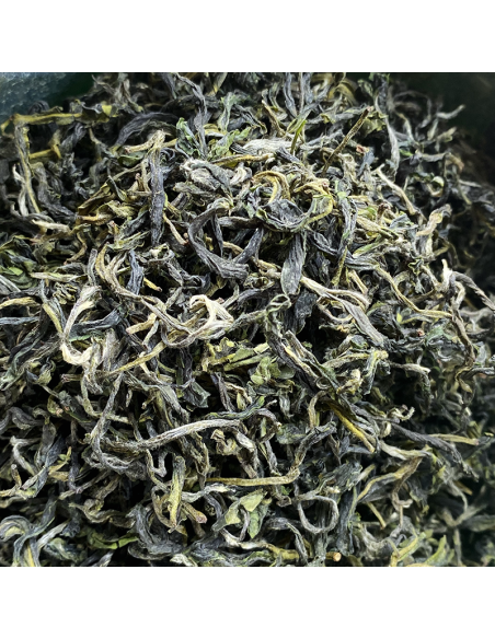 SAN XIA BI LUO CHUN 2026