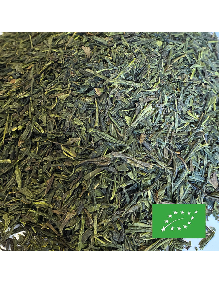 SENCHA GABALONG CERTIFIÉ BIO