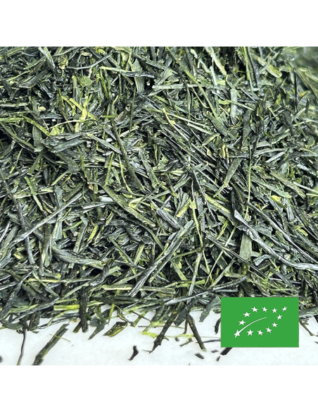 SENCHA YUTAKAMIDORI HIOKI 2026 ORGANIC CERTIFIED