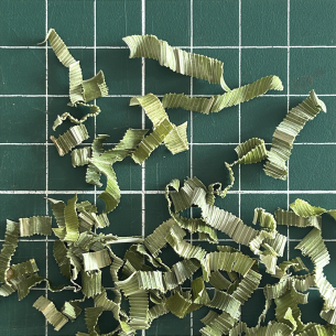PANDAN - FEUILLES COUPÉES 2