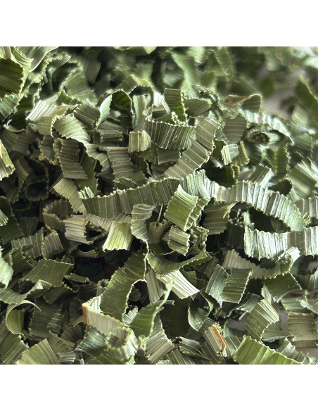 PANDAN - FEUILLES COUPÉES