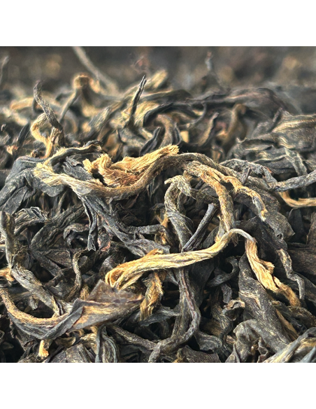 BLACK TEA FIKKAL NEPAL