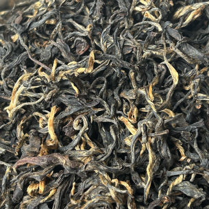 BLACK TEA FIKKAL NEPAL 2