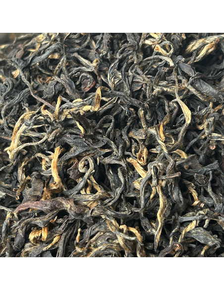 BLACK TEA FIKKAL NEPAL