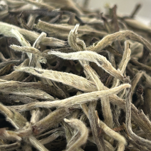WHITE TEA SILVER TIPS FIKKAL NEPAL
