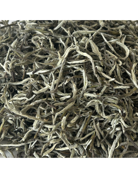 WHITE TEA SILVER TIPS FIKKAL NEPAL