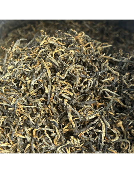 GOLDEN TIPS FIKKAL NEPAL