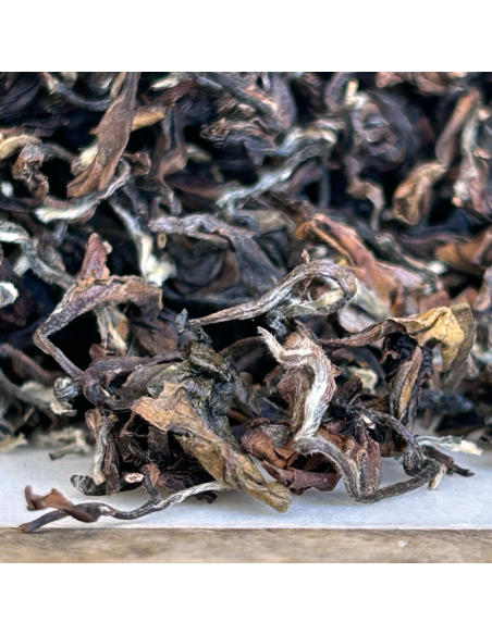 PINGLIN ORIENTAL BEAUTY