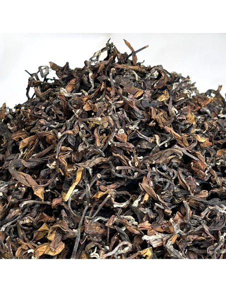 PINGLIN ORIENTAL BEAUTY