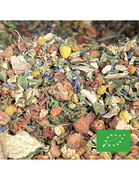 TISANE DU SOIR CERTIFIÉ BIO