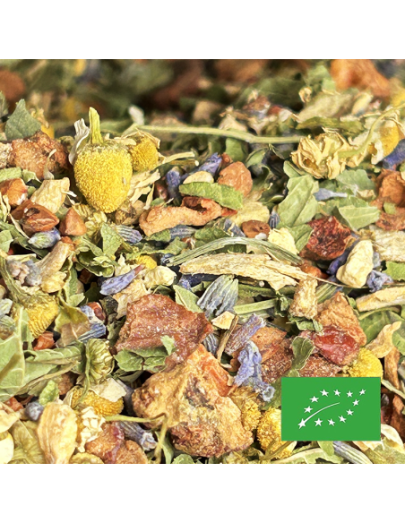 TISANE DU SOIR CERTIFIÉ BIO