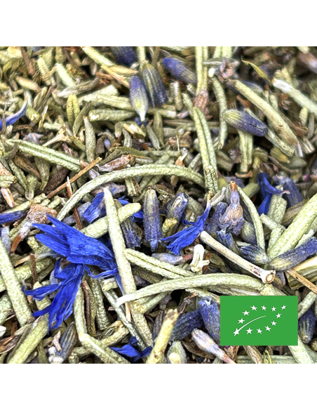 SOUTH INDIGO ORGANIC CERTIFIED