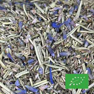 SUD INDIGO CERTIFIÉ BIO 2
