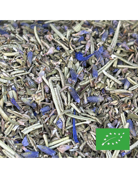 SOUTH INDIGO ORGANIC CERTIFIED