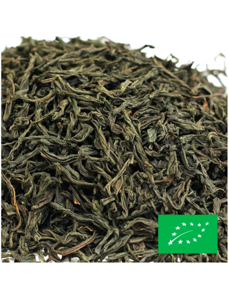 BLACKWOOD IDULGASHINA OP CERTIFIÉ BIO
