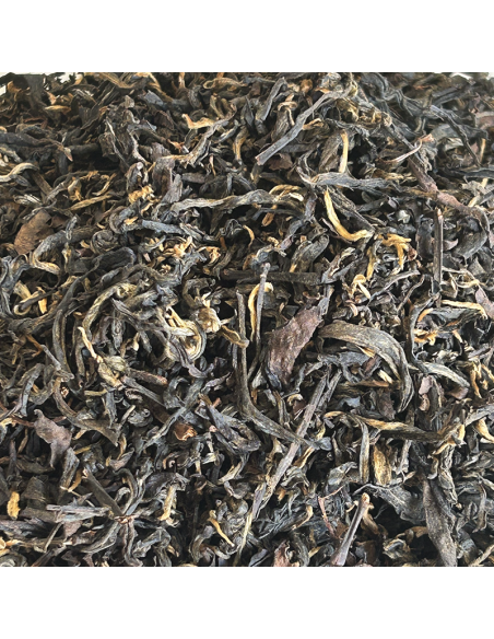 BROKEN GOLDEN BLACK TEA FIKKAL