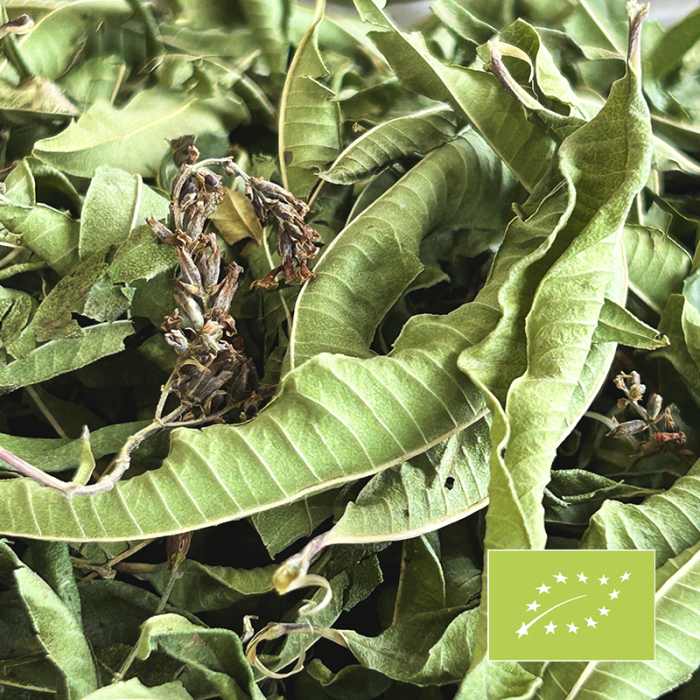 MOROCCAN LEMON VERBENA ORGANIC CERTIFIED