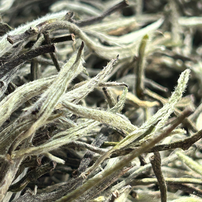 WHITE TEA SILVER TIPS FIKKAL NEPAL