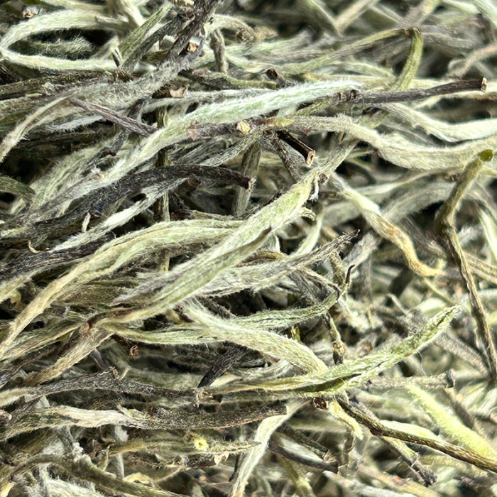 WHITE TEA SILVER TIPS FIKKAL NEPAL