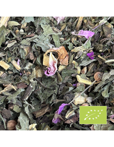 MINT EASTWOOD ORGANIC CERTIFIED